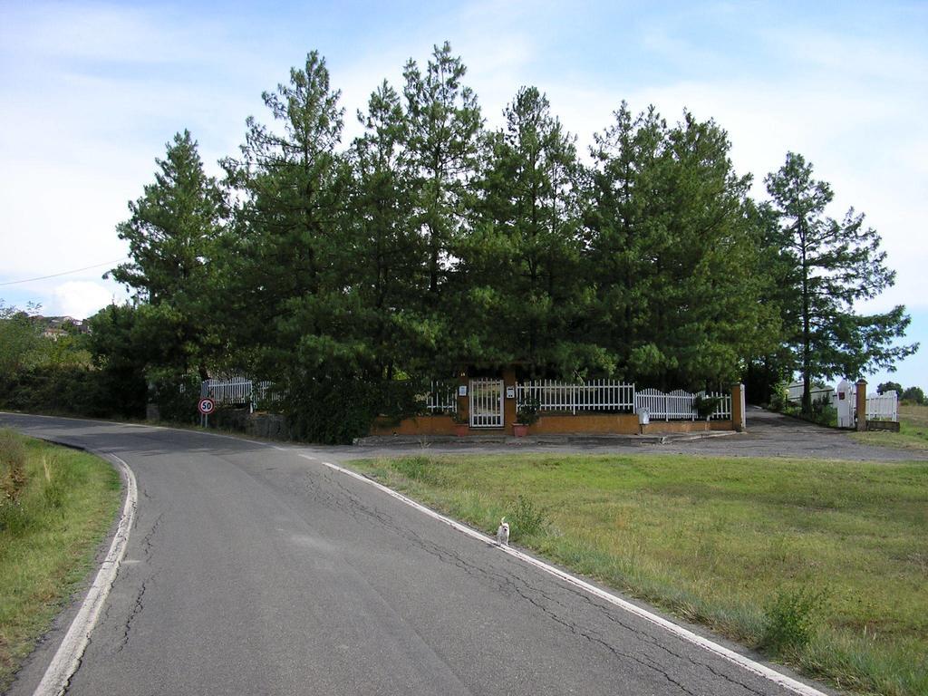 Villa Carmen Spineto Scrivia Eksteriør billede